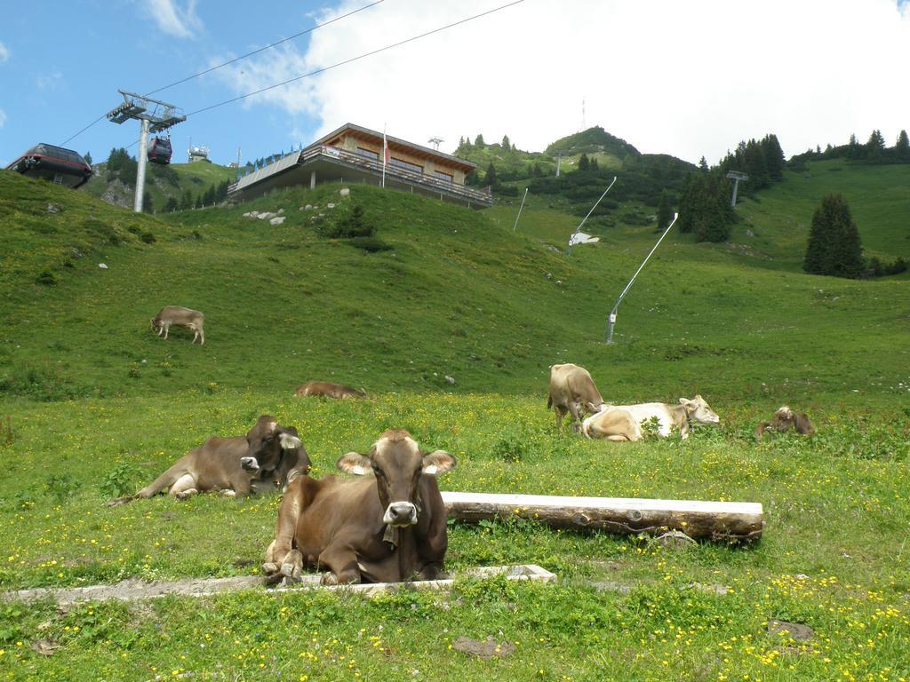 Ferienwohnungen Kathrein Reutte Exterior foto